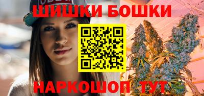 индика Дубна